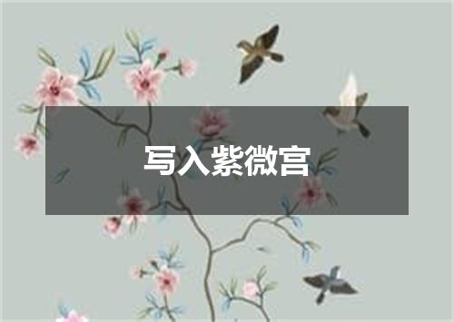 写入紫微宫