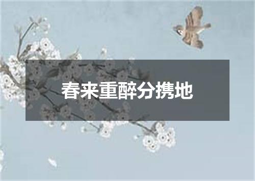 春来重醉分携地