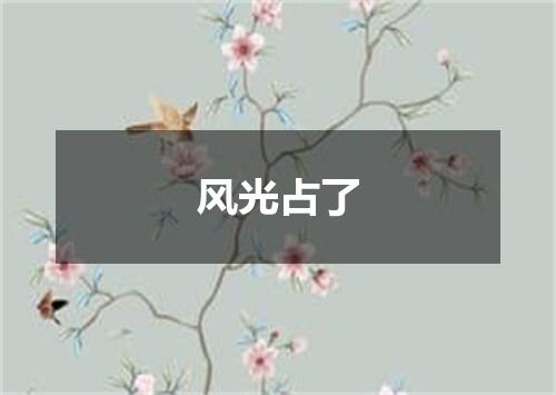 风光占了