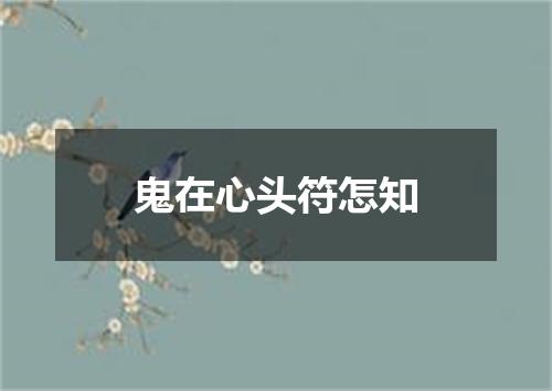 鬼在心头符怎知