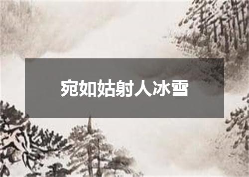 宛如姑射人冰雪