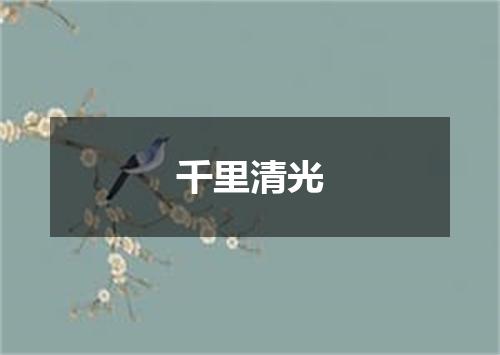 千里清光