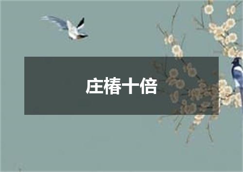 庄椿十倍