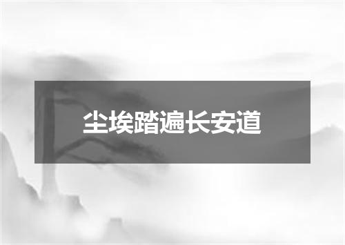 尘埃踏遍长安道