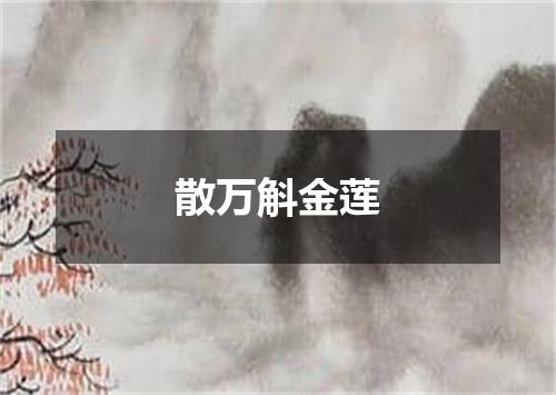 散万斛金莲