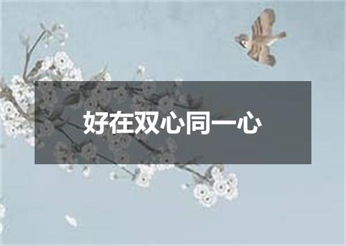 好在双心同一心