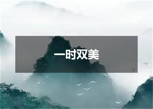 一时双美