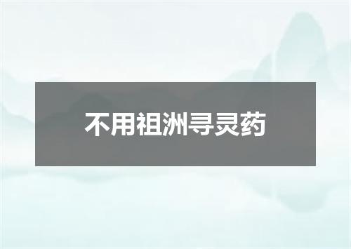 不用祖洲寻灵药