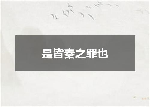 是皆秦之罪也