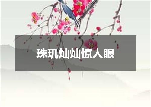 珠玑灿灿惊人眼