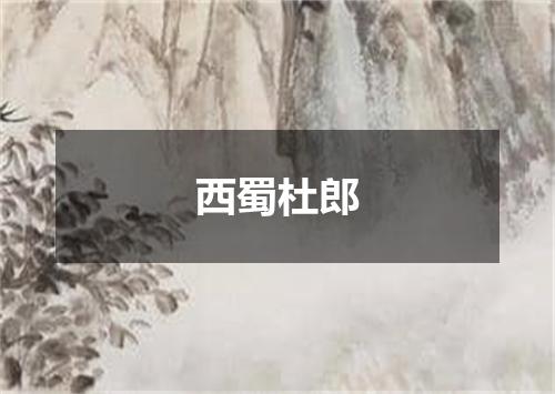西蜀杜郎