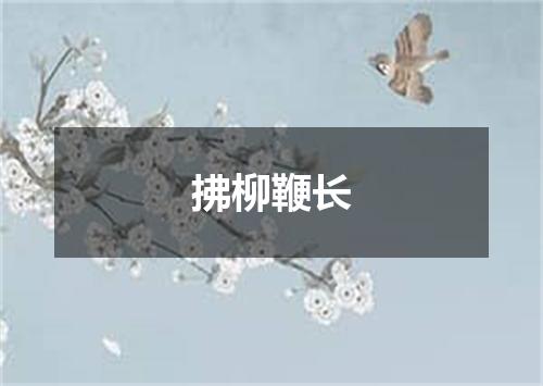 拂柳鞭长