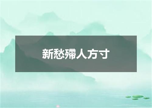 新愁殢人方寸