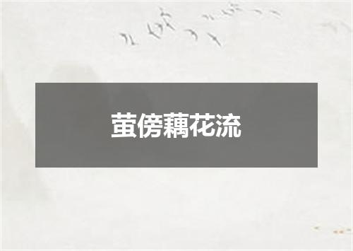 萤傍藕花流