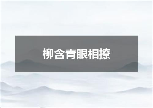 柳含青眼相撩