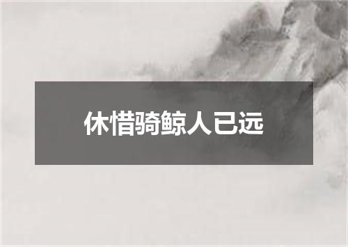 休惜骑鲸人已远