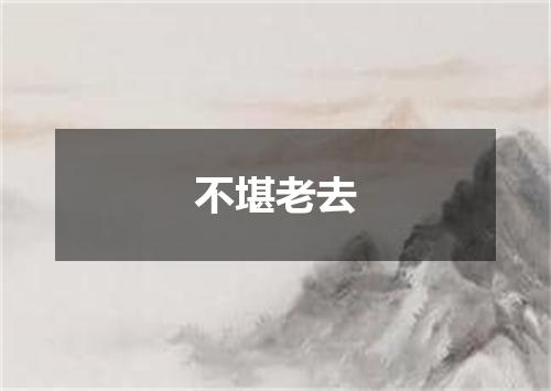 不堪老去