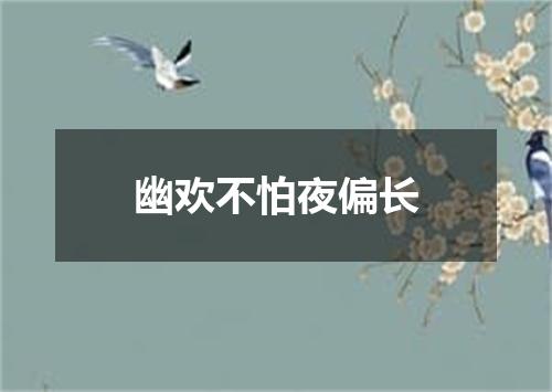 幽欢不怕夜偏长