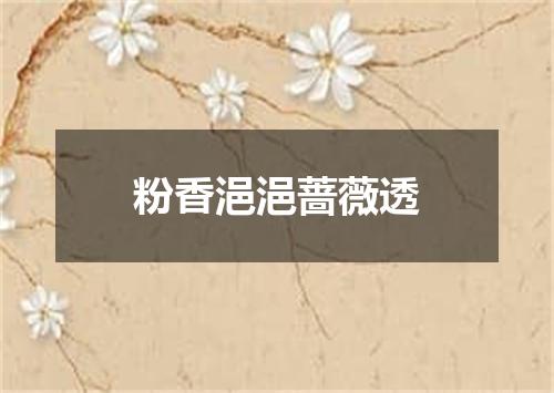 粉香浥浥蔷薇透