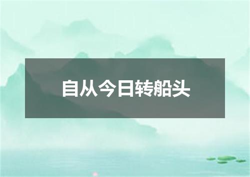 自从今日转船头