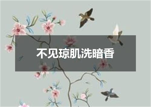 不见琼肌洗暗香