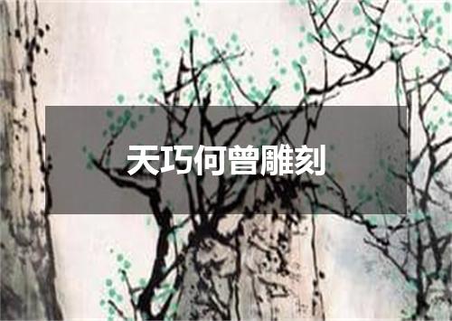 天巧何曾雕刻