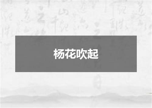 杨花吹起