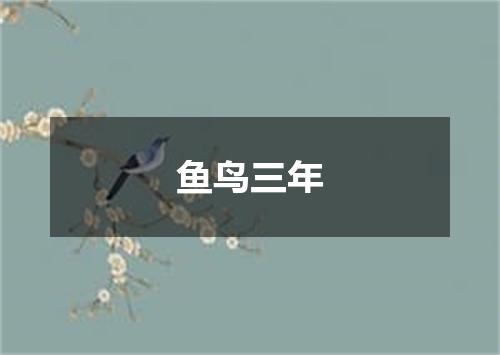 鱼鸟三年