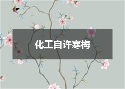 化工自许寒梅