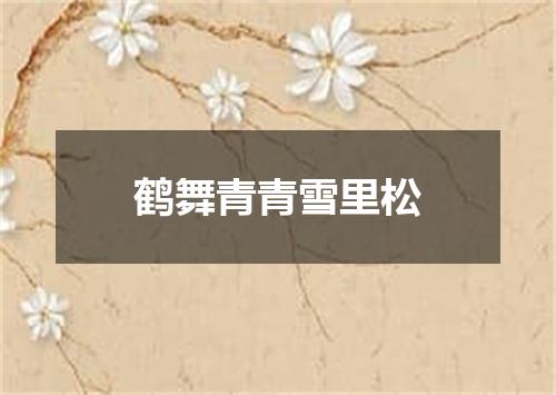 鹤舞青青雪里松