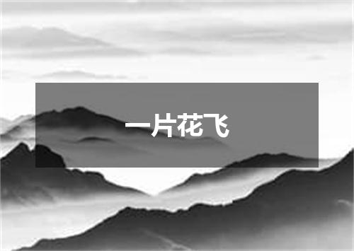 一片花飞
