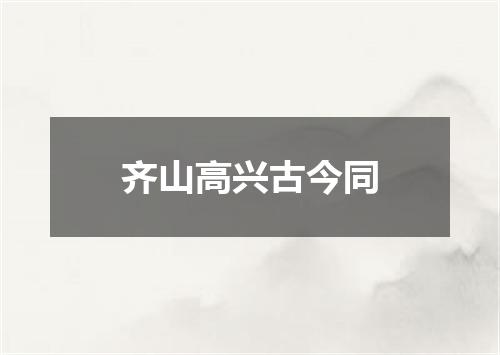 齐山高兴古今同