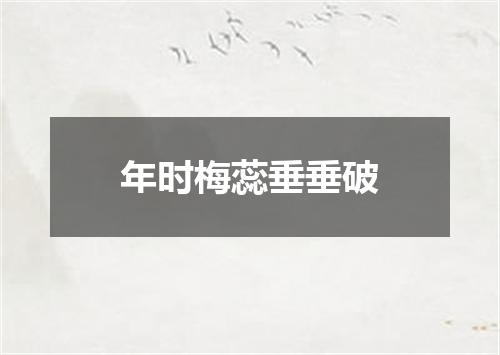 年时梅蕊垂垂破