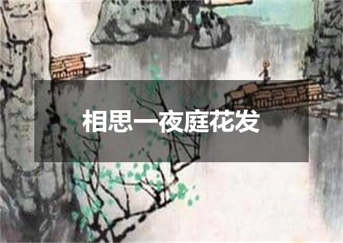 相思一夜庭花发