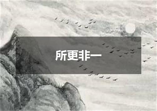 所更非一