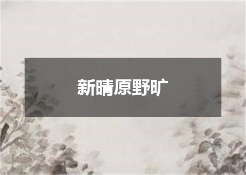 新晴原野旷