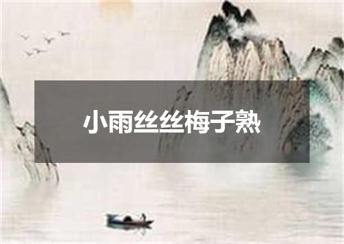 小雨丝丝梅子熟