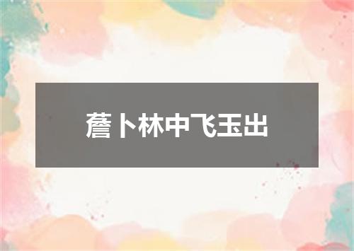 薝卜林中飞玉出