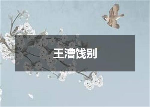 王漕饯别
