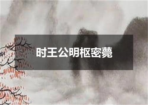 时王公明枢密薨