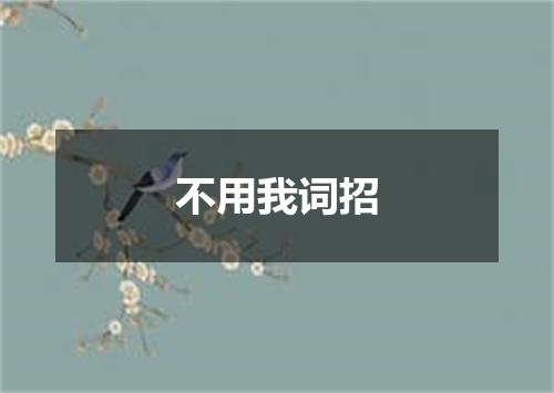 不用我词招