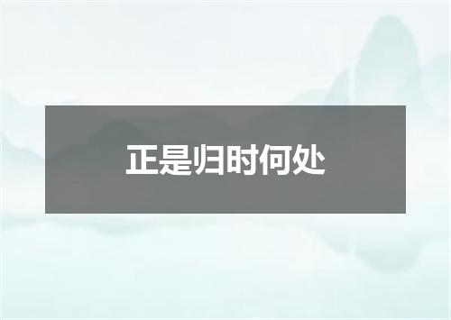 正是归时何处