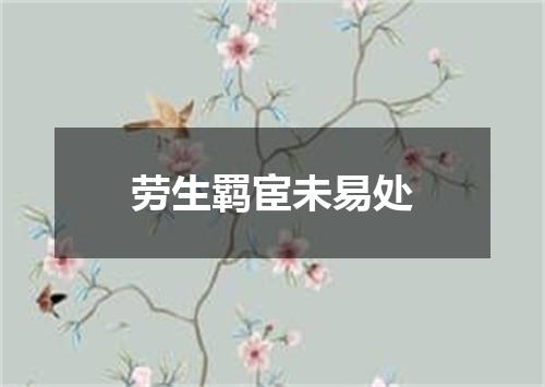 劳生羁宦未易处