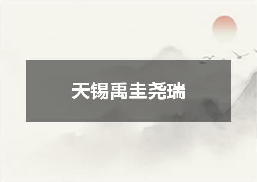 天锡禹圭尧瑞