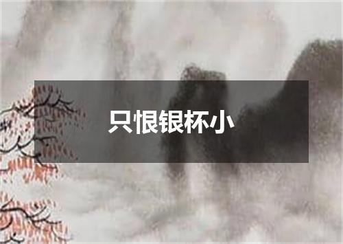 只恨银杯小