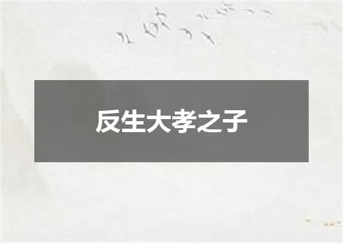 反生大孝之子