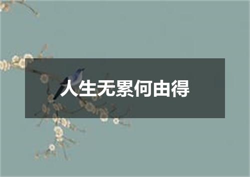 人生无累何由得