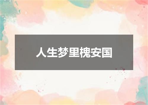 人生梦里槐安国