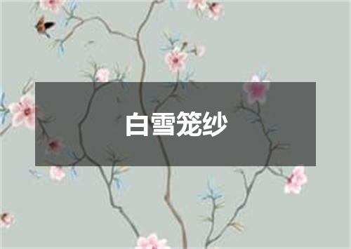 白雪笼纱