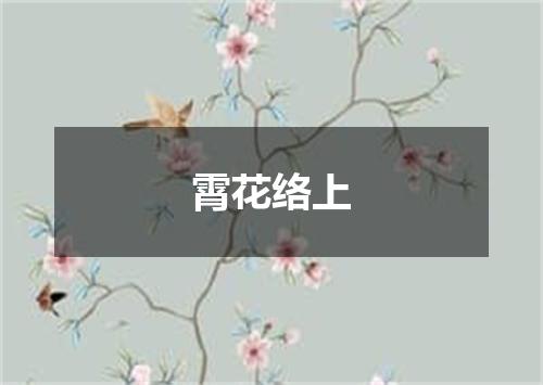 霄花络上